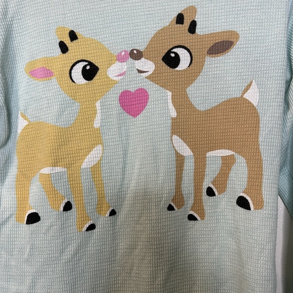 EUC wildfox reindeer holiday Christmas flannel mint color sz medium - Picture 3 of 6